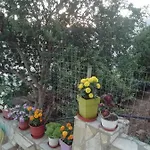 Appartement Adriana