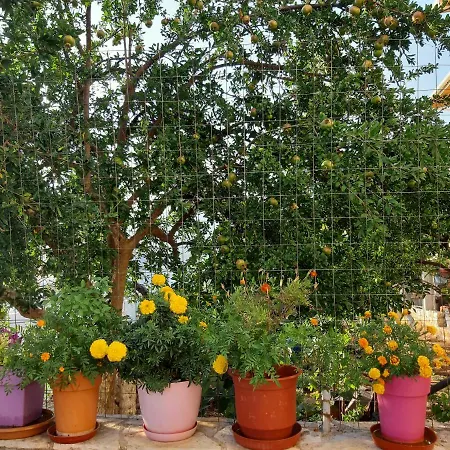 Adriana Apartment Himare