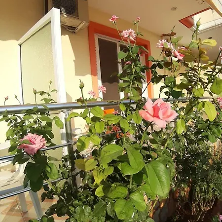 Appartement Adriana Himarë