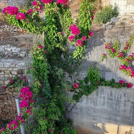 Appartement Adriana *