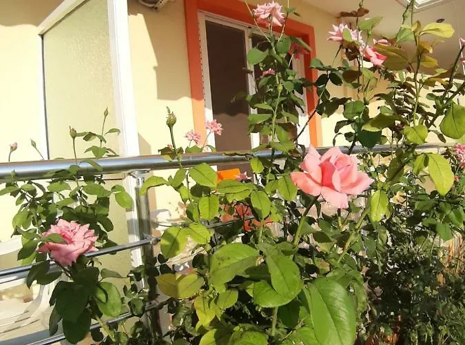 Daire Adriana Himarë