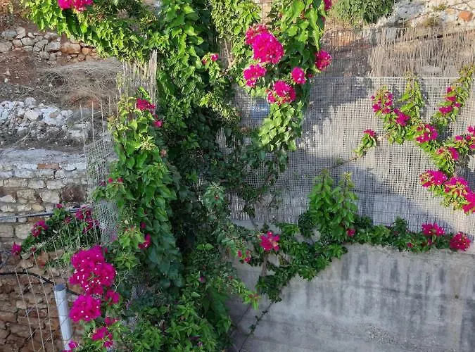 Apartament Adriana *